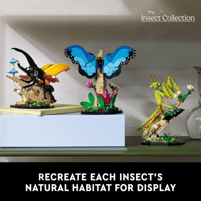 Ideas the Insect Collection, Fun Gift for Nature Lovers, with Life-Size Blue Morpho Butterfly, Hercules Beetle and Chinese Mantis Display Models, Bug Building Set and Nature Décor, 21342 - Image 6