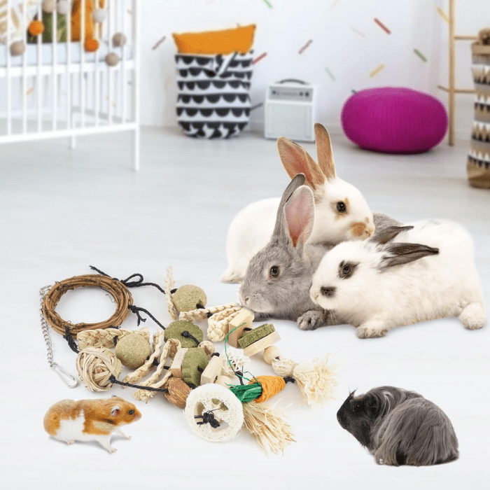 Bunny Chew Toy, Rabbits Cage Hanging Chew Toys and Treats Rattan Ring with Snacks for Guinea Pigs Chinchillas Hamsters Rats and Other Small Pets Teeth Grinding - Image 7