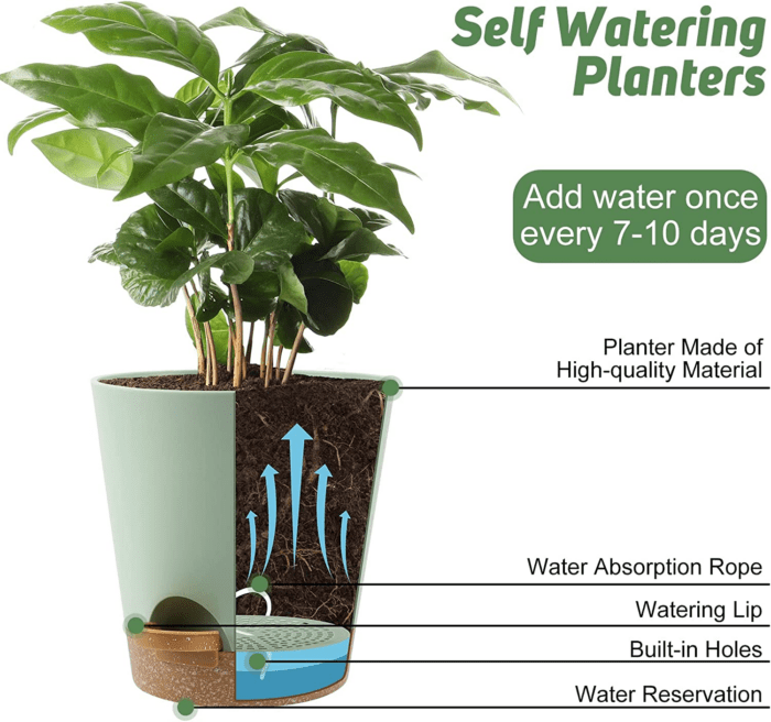 Indoor Self Watering Planters with Drainage Holes and Saucers, 8, 7, 6.5, 6, 5.5, 5 Inches, Green, 6 Pots - Image 5