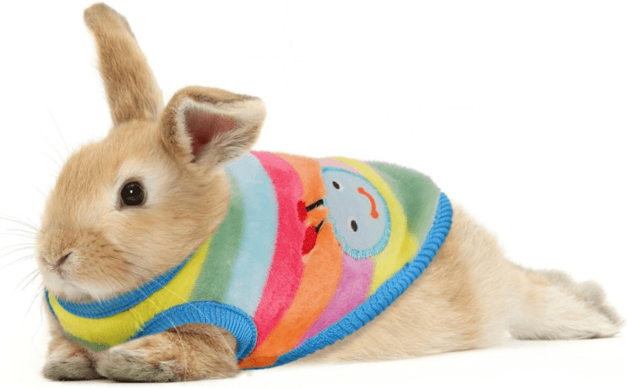 4 Pack Guinea Pig Clothes Rabbit Warm Vest Flannel Fleece Pet Costume T-Shirt for Small Animal Kitten Ferret Chihuahua Puppy (Rainbow, Xx-Small) - Image 7