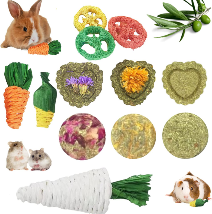 Rabbit Chew Toys 12PCS, Guinea Pig Toys, Bunny Toys for Teeth, Chew Toys and Treats for Rabbit Guinea Pig Hamster Chinchilla, Small Animal Teeth Care