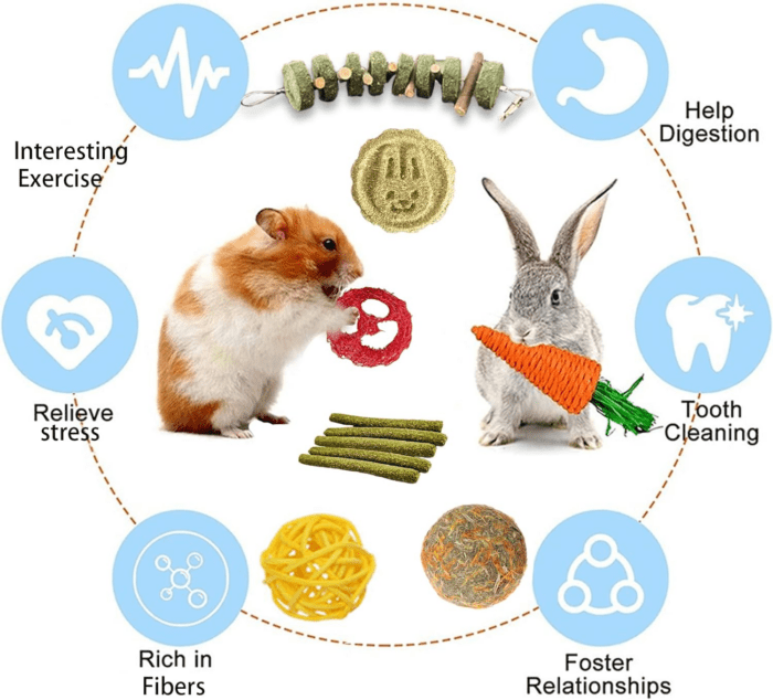 20 PCS Bunny Chew Toys for Teeth, Natural Rabbit Toys Apple Wood Grass Timothy Sticks Chew and Treat for Guinea Pigs Hamster Chinchillas - Image 2