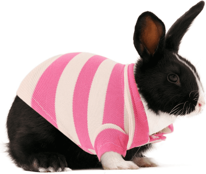 2 Pack Guinea Pig Clothes Rabbit Summer T-Shirt Pet Costume Vest for Small Animal Kitten Ferret Chihuahua Puppy - Image 6