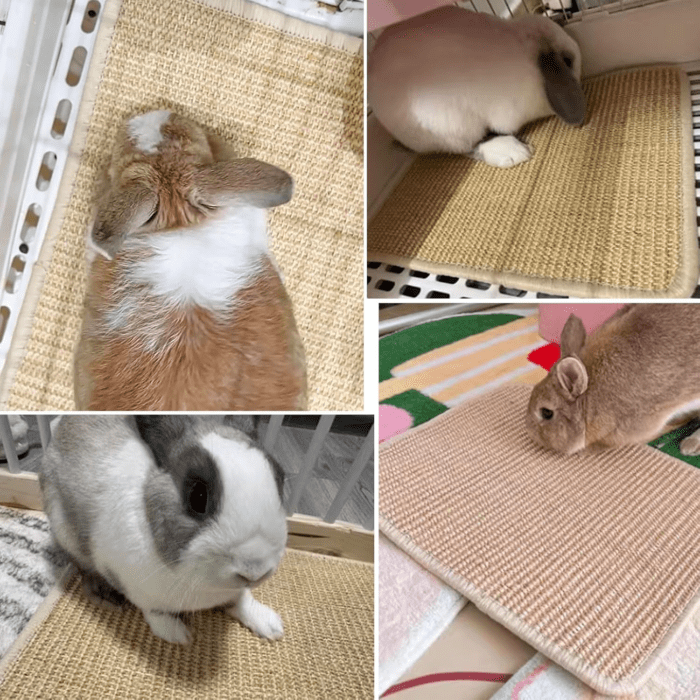 2PCS Rabbit Scratch Mat Natural Bunny Scratching Pad Claws and Teeth Care Rabbit Mats for Cages Rabbit Chew Toys for Bunny Pet Cage Bedding for Biting Sleeping Nesting, 16X12 - Image 6