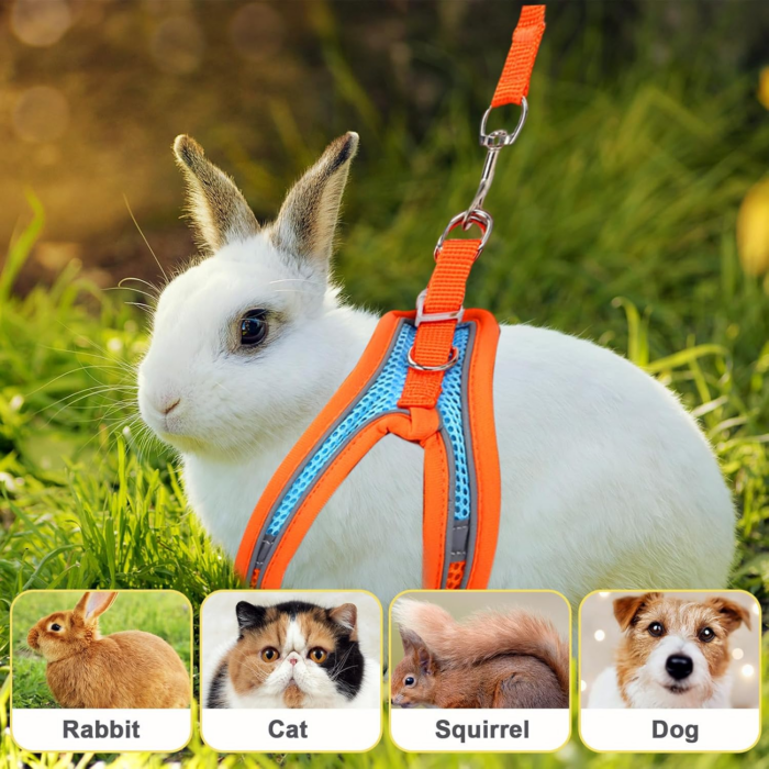 2 Pack Rabbit Harness and Leash Set, Double Buckle Bunny Harness with Reflective Strips Soft Breathable Mesh Vest Harness for Rabbits Walks Accessories - Image 5