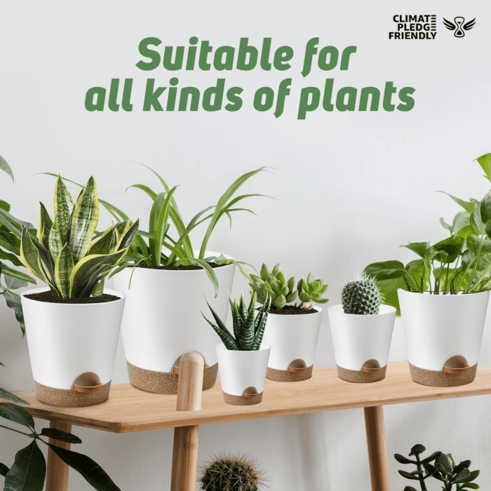 Indoor Self Watering Planters with Drainage Holes and Saucers, 8, 7, 6.5, 6, 5.5, 5 Inches, White, 6 Pots - Image 7