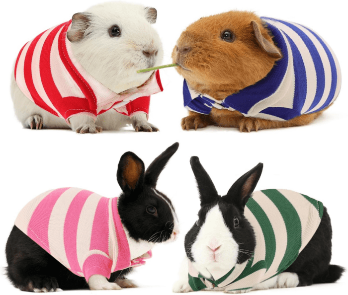 2 Pack Guinea Pig Clothes Rabbit Summer T-Shirt Pet Costume Vest for Small Animal Kitten Ferret Chihuahua Puppy - Image 9