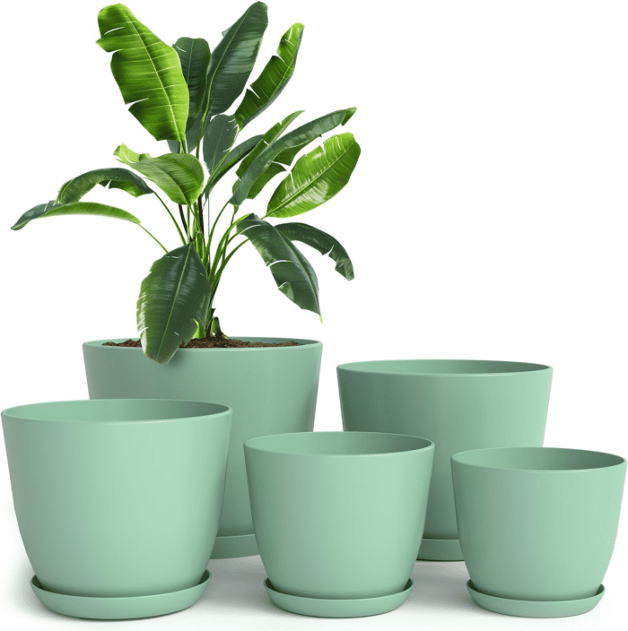 - Plant Pots Indoor with Drainage - 7/6.6/6/5.3/4.8 Inches Home Decor Flower Pots for Indoor Planter - Pack of 5 Plastic Planters for Indoor Plants, Cactus, Succulents Pot - Mint