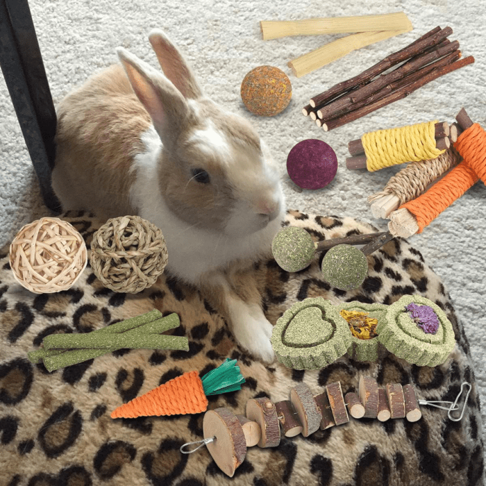 Rabbit Toys Bunny Toys 26Pcs Natural Timothy Hay Sticks Apple Wood Sticks Handmade for Guinea Pig Hamster Rat Chinchilla - Image 4