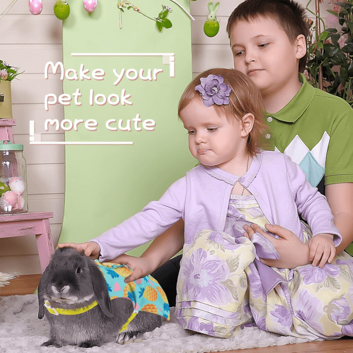 3 Piece Cute Rabbit Leash and Harness Set, Bunny Rabbit Dress Clothes Walking Harness Vest Escape Proof Pet Supply for Rabbit Hedgehog Ferret Guinea Pig (Cake, Bunny, Pineapple) - Image 6