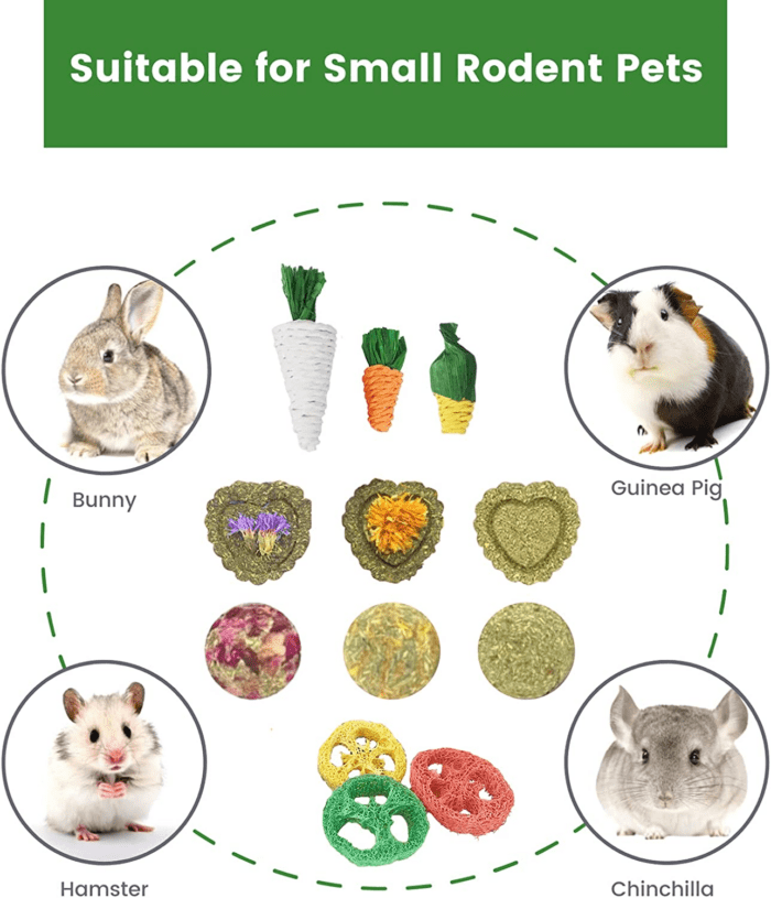 Rabbit Chew Toys 12PCS, Guinea Pig Toys, Bunny Toys for Teeth, Chew Toys and Treats for Rabbit Guinea Pig Hamster Chinchilla, Small Animal Teeth Care - Image 3