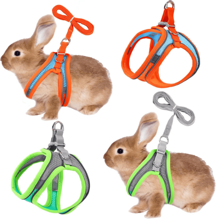 2 Pack Rabbit Harness and Leash Set, Double Buckle Bunny Harness with Reflective Strips Soft Breathable Mesh Vest Harness for Rabbits Walks Accessories