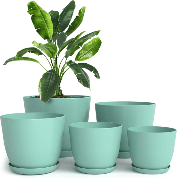 - Plant Pots Indoor with Drainage - 7/6.6/6/5.3/4.8 Inches Home Decor Flower Pots for Indoor Planter - Pack of 5 Plastic Planters for Indoor Plants, Cactus, Succulents Pot - Aqua