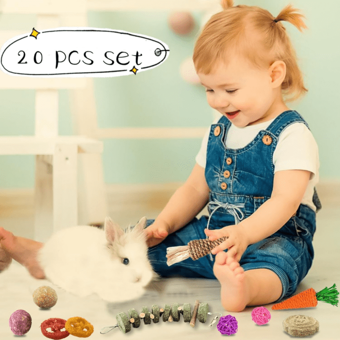 20 PCS Bunny Chew Toys for Teeth, Natural Rabbit Toys Apple Wood Grass Timothy Sticks Chew and Treat for Guinea Pigs Hamster Chinchillas - Image 4