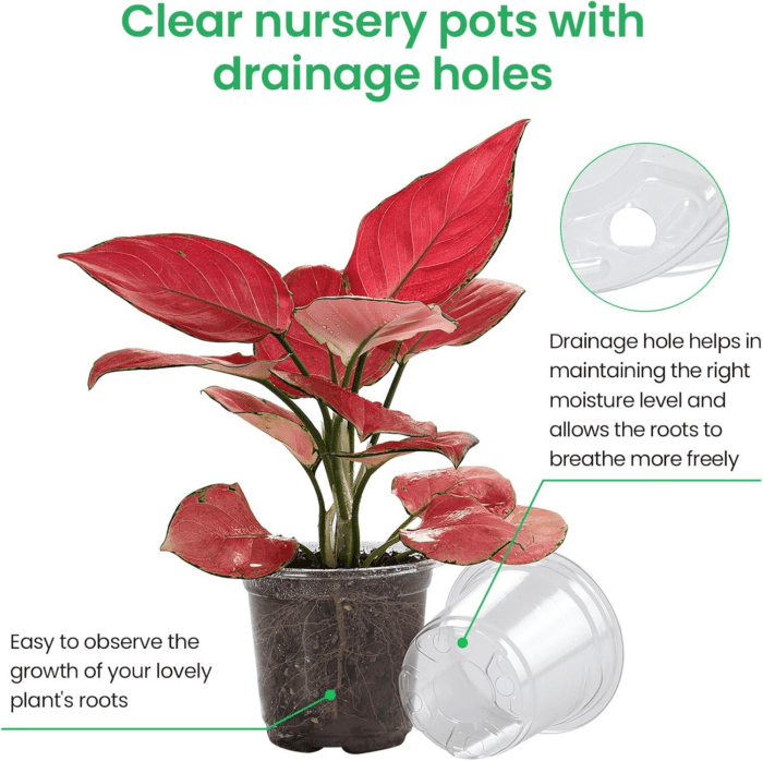 36 Packs 5/4/3.5 Inch Reinforced Clear Nursery Pots with Drainage Hole, Transparent Variety Pack Plastic Plant Pot Seedling Planter Seed Starter Flower - Image 3