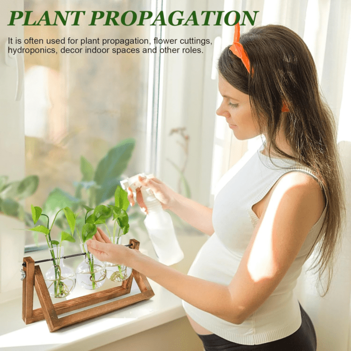 Plant Propagation Station, Plant Terrarium with Wooden Stand, Unique Gardening Birthday Gifts for Women Plant Lovers, Home Office Garden Decor Planter - 3 Bulb Glass Vases - Image 4