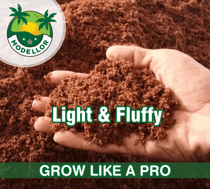 4 Bricks (5 Lb) Premium Super Washed Coco Coir, Yields 9 Gallons, Seed Starter, Organic, Ph Balanced, Gardening, Indoor, Outdoor Use. - Image 2