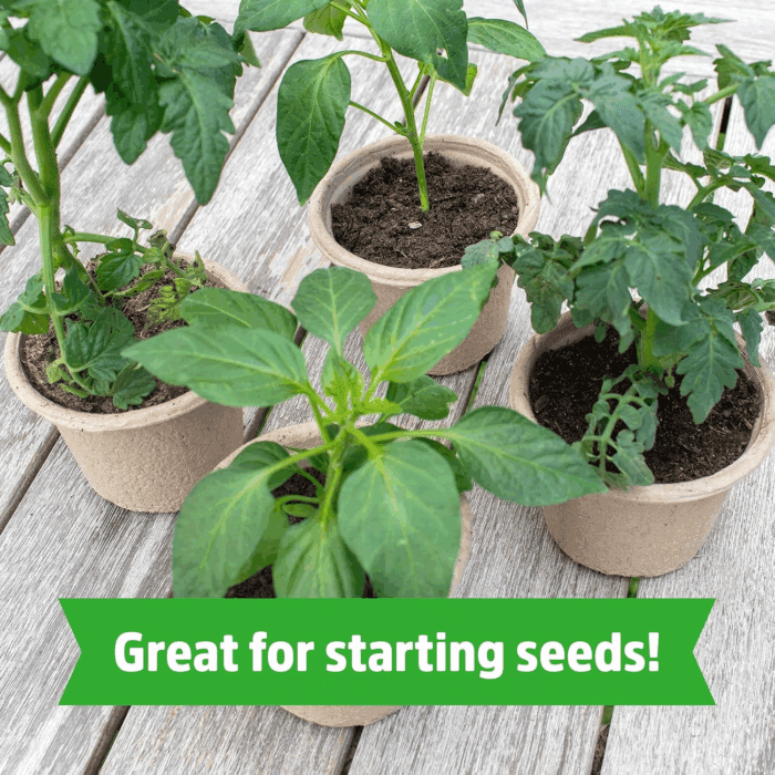 Organic Coir, 51 Quart Expanding Soil, Great for Seeds and Potting - Image 4