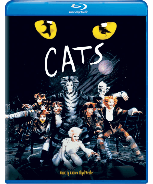 Cats Cats