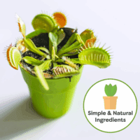 Carnivorous Plant Soil | 4 Qts. Organic Premium Mix | Use with Venus Fly Traps, Pitcher Plants, or Other Carnivorous Plants - Image 4