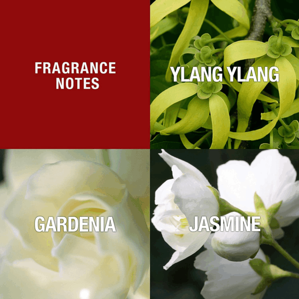 DESIGN Perfume for Women, Day & Night Soft Floral Fragrance Spray, 3.4 Oz - Image 3
