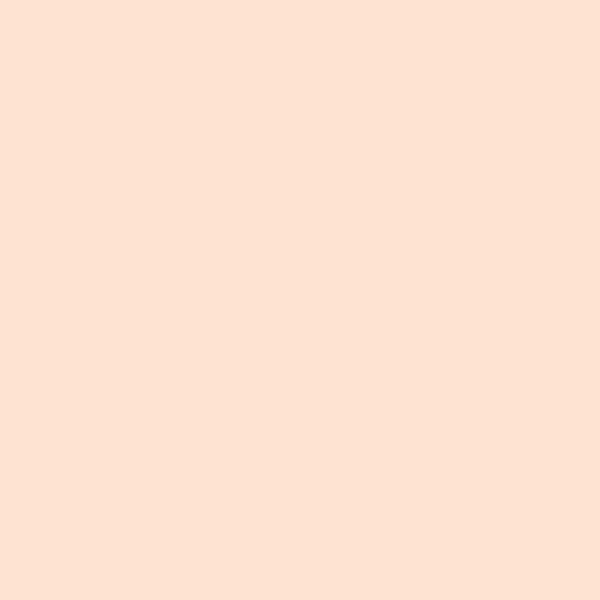 Clean Simply Powder Foundation, Ivory - Image 6
