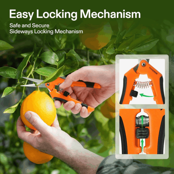 6.5 Inch Gardening Scissors Hand Pruner Pruning Shear with Straight Stainless Steel Blades Orange 1-Pack - Image 3