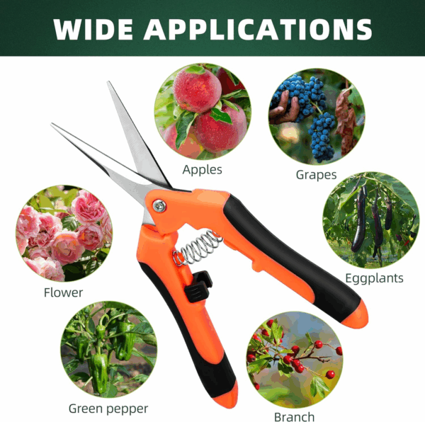 3-Pack Stainless Steel Pruning Shears, Pruning Snips and Clippers for Gardening - Image 7