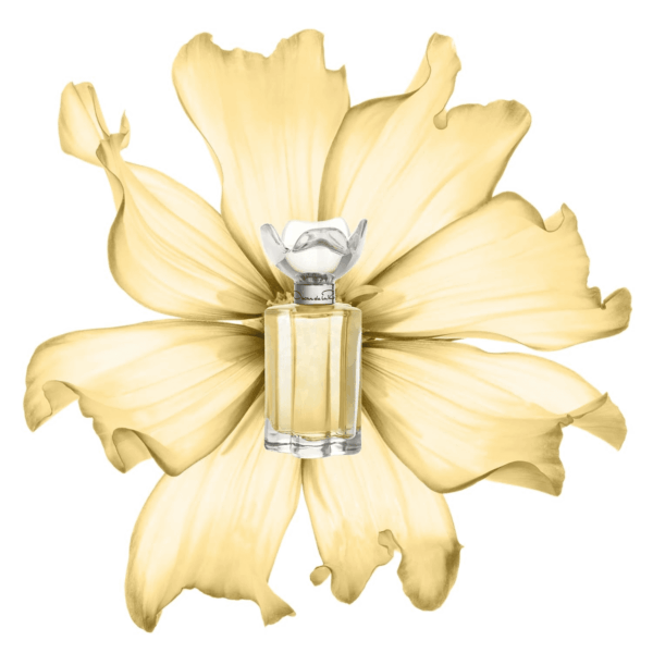 Esprit D'Oscar - Image 3