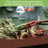 10LBS Expanded Clay Balls Terrarium Substrate for Reptiles - 100% Organic Lightweight Clay Pebbles Substrate Frogs False Bottom Substrate, Bioactive Terrarium Substrate for Drainage and Moisture - Image 6