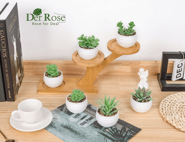 Set of 6 Succulents Plants Artificial in Pots Small Fake Plants for Bedroom Aesthetic Living Room Office Shelf Bathroom Decor - Image 5