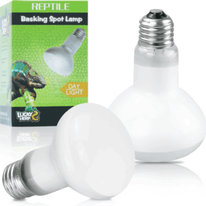 Reptile Heat Lamp - 100W (2Nd Gen) Heat Lamp Bulbs for Reptiles 2 Pack, Amphibians Basking Heat Lamp Bulbs, UVA Daylight Basking Light for Reptiles, Bearded Dragon, Lizard, Turtle, Chicken