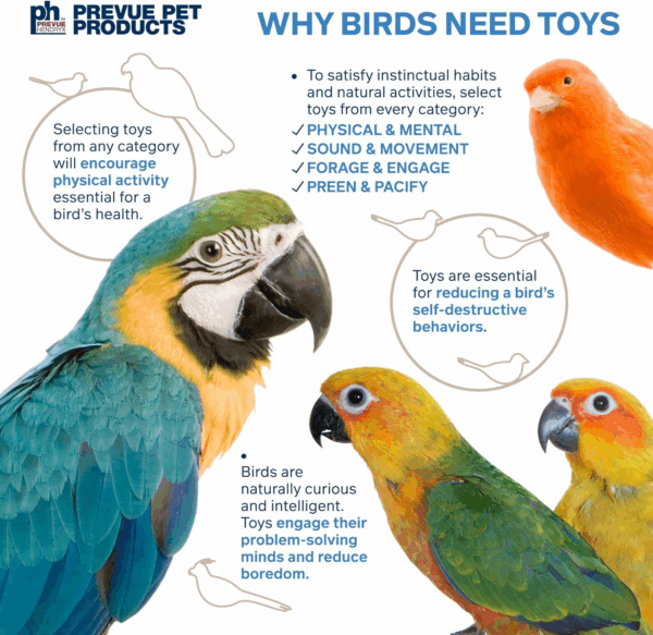 Pervue Pet Products Naturals Preen & Pacify Woodland Harvest Bird Toy 62549 - Image 6