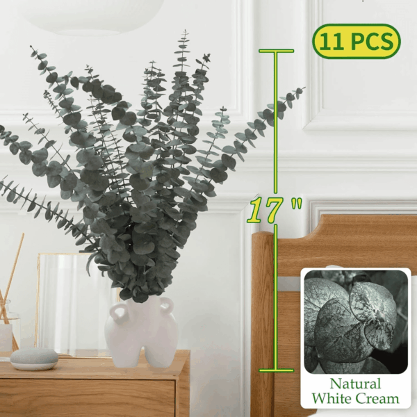11 PCS Real Dried Eucalyptus Stem for Shower & Bathroom Decor - 17'' Large Natural Fresh Eucalyptus Leaves Hanging Plants, Shower Stuff Green Home Vase Decor, DIY - Image 2
