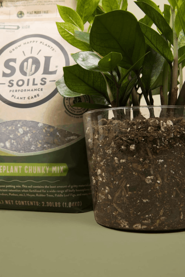 Chunky Houseplant Mix - Fast Draining Soil for Indoor Plants with Coco Coir Chips, Perlite, & Pumice, 1 Gallon - Image 4