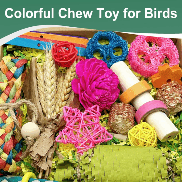 Natural Bird Toy Foraging Parrot Shredding Toys Box Conure Chewing Toys for Cockatiel Lovebird Parakeet Budgie Small-Medium Birds (Colorful) - Image 2