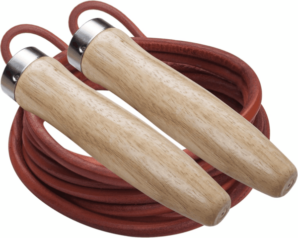 SR Series Classic Nylon Jump Rope with Wood Handles, 16-Feet (Single)