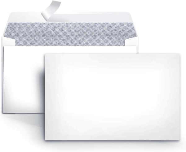 6 3/4 Security Tinted Envelopes with Peel and Seal, 100-Pack, White
