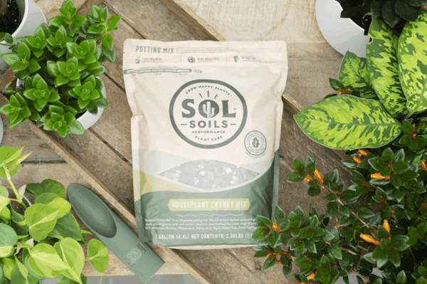 Chunky Houseplant Mix - Fast Draining Soil for Indoor Plants with Coco Coir Chips, Perlite, & Pumice, 1 Gallon - Image 3