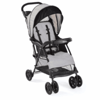 Cloud plus Lightweight Toddler Umbrella Baby Stroller with Large Storage Basket and Canopy, Reclining Seat, Child and Parent Trays, Compact Easy Fold for Summer Travel - Slate Gray