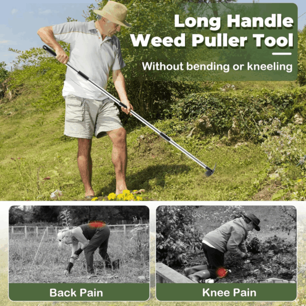 Weed Puller Tool with Long Handle - 60" Manual Weeder Remover Tool, 2 in 1 Hand Weed Rake and Garden Hoe for Gardening, Heavy Duty Uprooting Weeding Pull for Yard, Lawn, Patio and Garden - Image 3