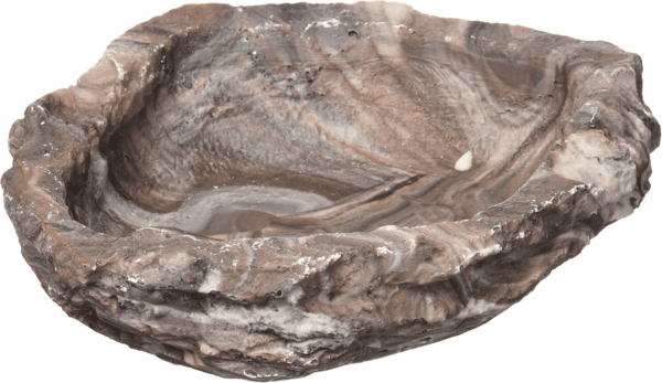 Repta Bowl, Food and Water Bowl for Reptiles and Small Animals, Medium 6"
