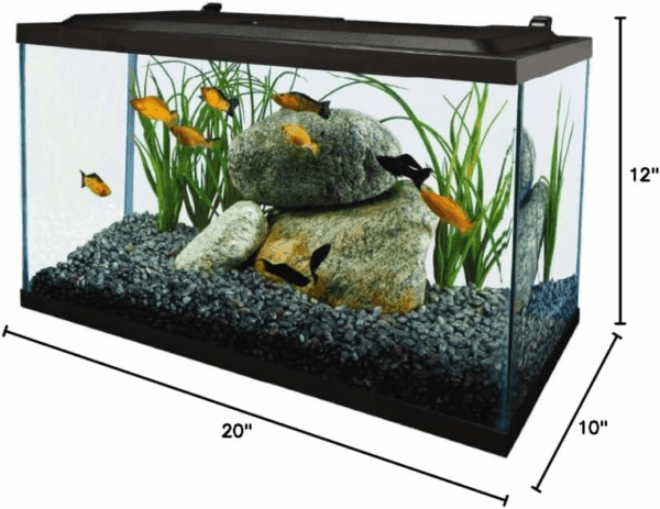 Aquarium, 10 Gallon, Complete Tropical Fish Tank Kit with LED Lighting for Freshwater Fish - Image 9