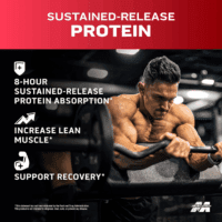 Platinum 8-Hour Protein Powder - 7 Premium Protein Sources with Whey & Casein Protein for Increased Lean Muscle, Strength & Improved Recovery - Milk Chocolate, 50 Servings - Image 2