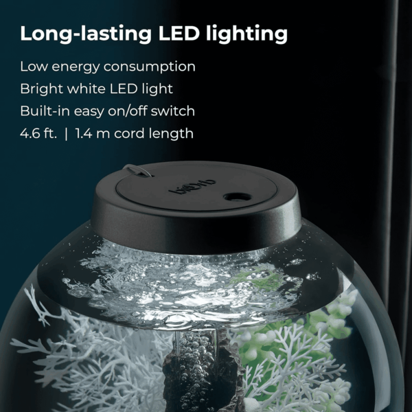 Classic 15 Acrylic 4-Gallon Aquarium with White LED Lights Modern Compact Tank for Tabletop or Desktop Display, Silver-Trimmed Tank - Image 6