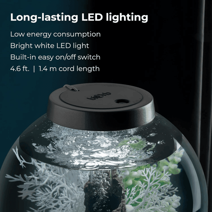 Classic 15 Acrylic 4-Gallon Aquarium with White LED Lights Modern Compact Tank for Tabletop or Desktop Display, Silver-Trimmed Tank - Image 6