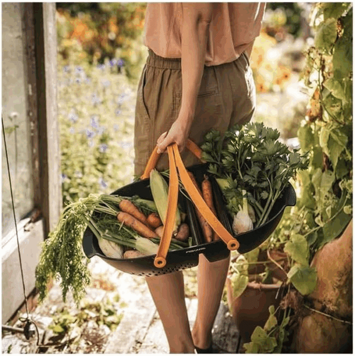 Garden Harvest Basket - Container for Gardening and Harvesting with Tool Caddy - Harvesting Basket Doubles as a Collander for Vegetables and Fruits - Garden Accessories - Image 6