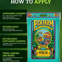 Ocean Forest Potting Soil, 12Qt – Light, Aerated Texture, Designed for All Container Plants – Ph Adjusted for Optimal Nutrient Uptake, Effectively Retains Moisture - Image 6