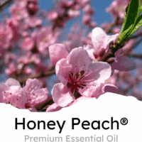 Honey Peach Scent Car Air Freshener Clip, 6 Vent Clips, 4Ml Each, Long Lasting Air Freshener, up to 180 Days Car Refresher Odor Eliminator - Image 2