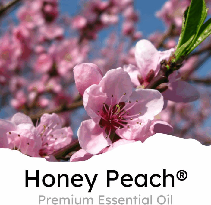 Honey Peach Scent Car Air Freshener Clip, 6 Vent Clips, 4Ml Each, Long Lasting Air Freshener, up to 180 Days Car Refresher Odor Eliminator - Image 2
